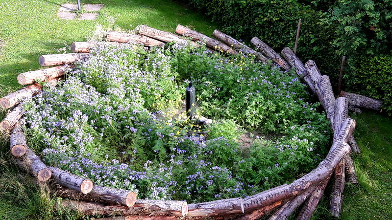 Bildergebnis für naturharmoniestation bilder